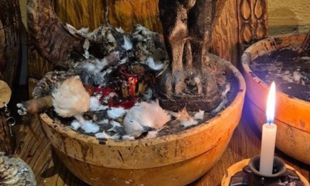 petition-img-244818-1752512448-fr
